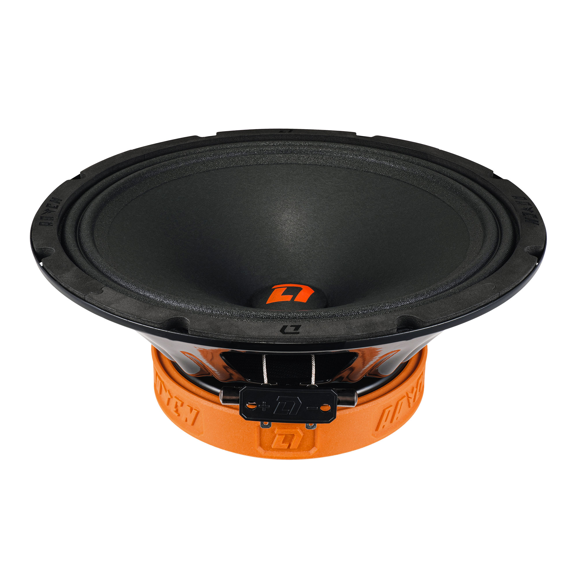 DL Audio Raven 250 V2