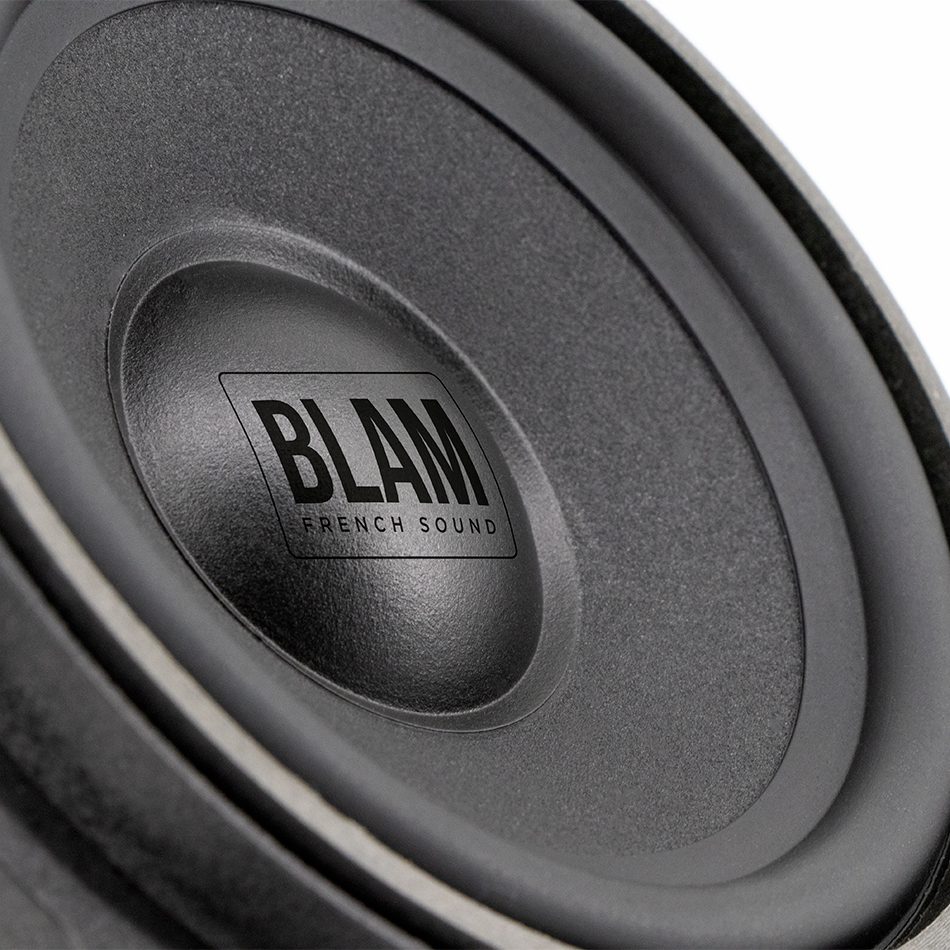 Акустика автомобильная BLAM BM100FS 