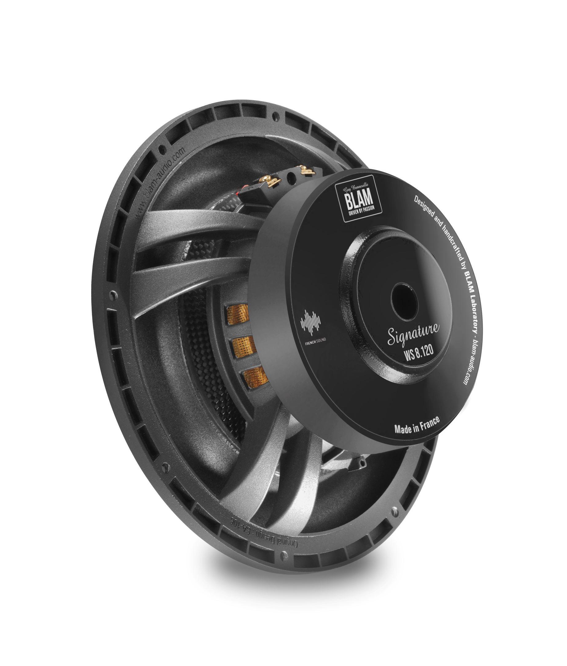 Сабвуферные динамики BLAM WS8120 