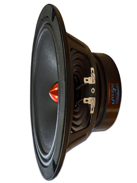 Ivolga UP-810