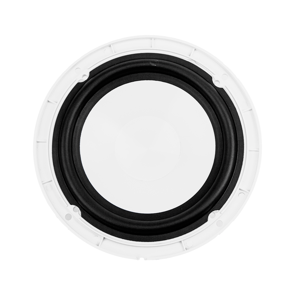 Морская акустика ACV M6W 