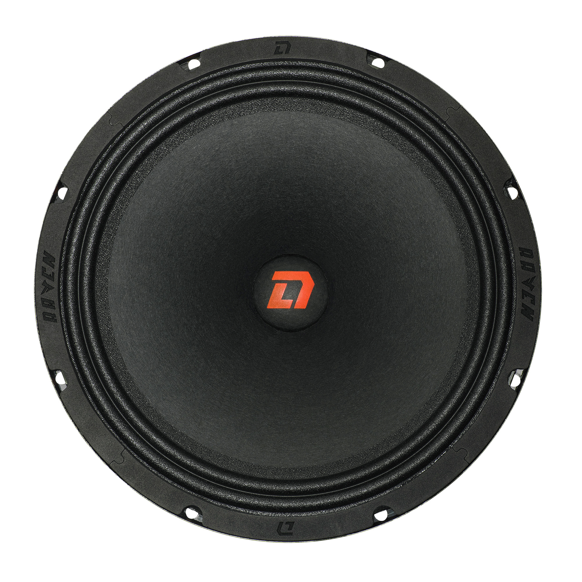 DL Audio Raven 250 V2