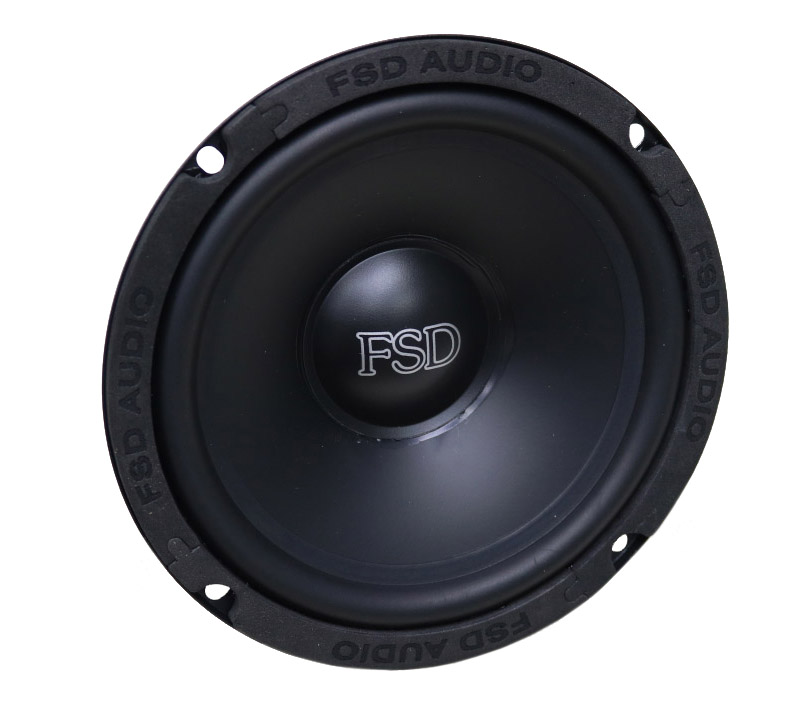 FSD audio MASTER WF 6