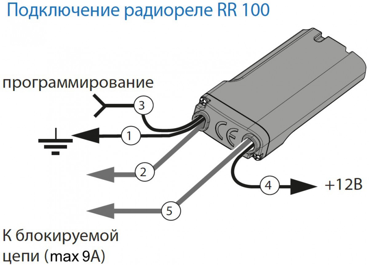 Pandora RR-100