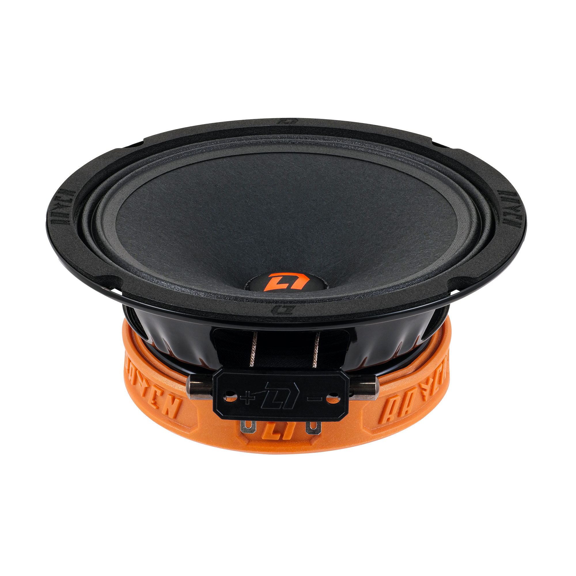 DL Audio Raven 165 V2