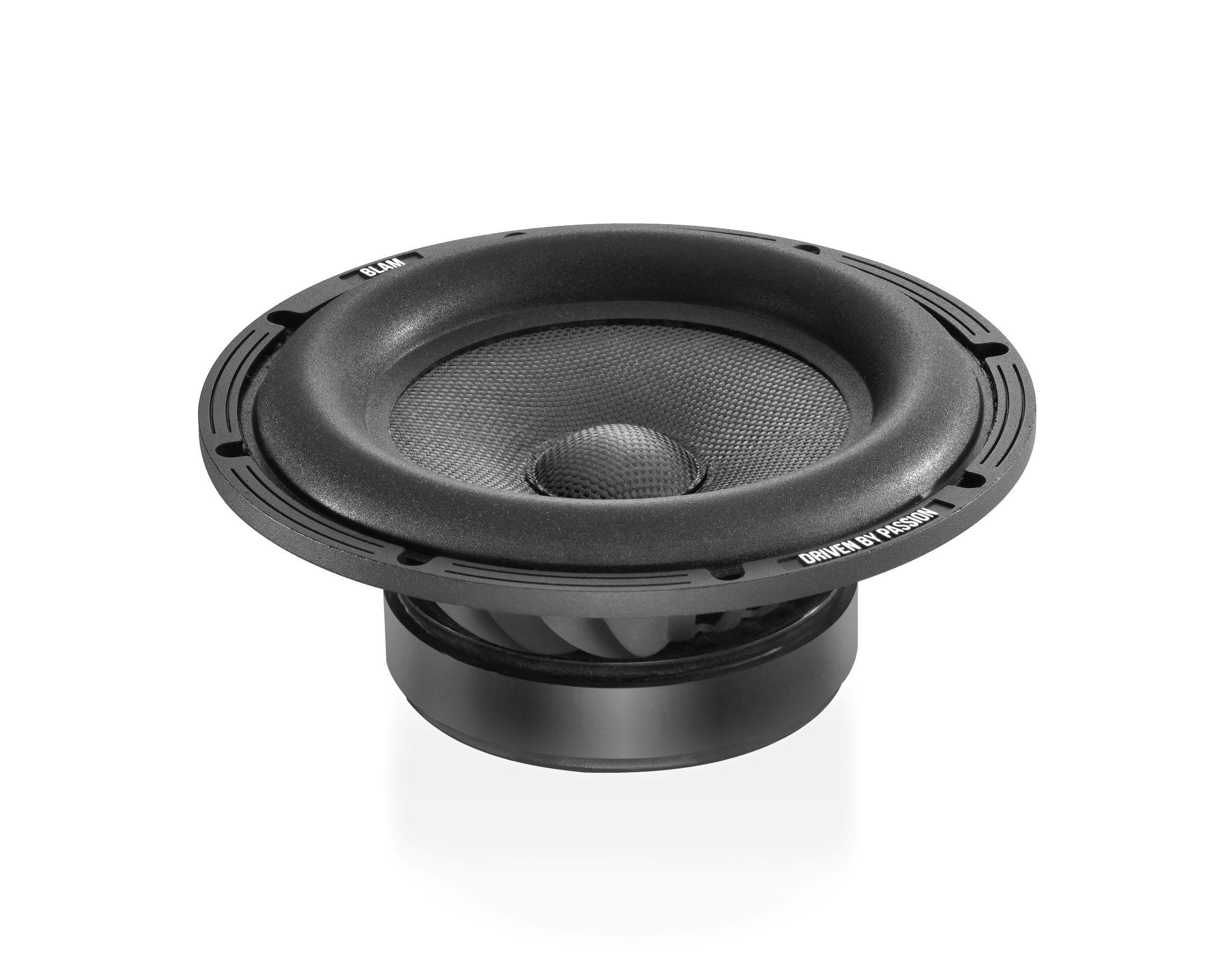 Сабвуферные динамики BLAM WS8120 