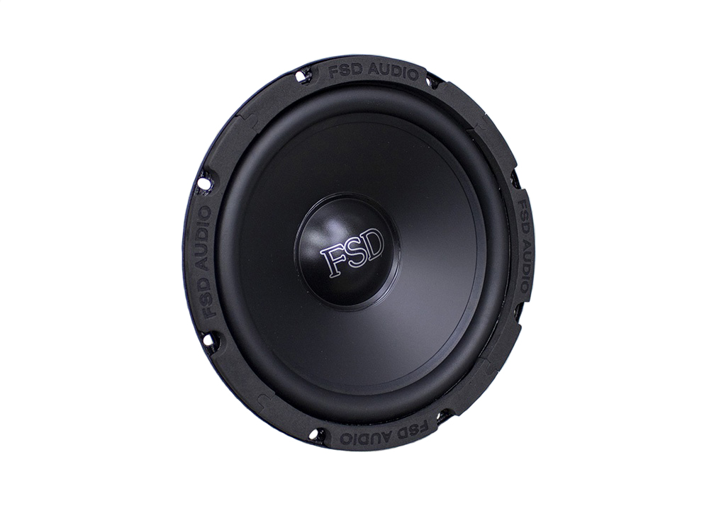 FSD audio MASTER WF 8