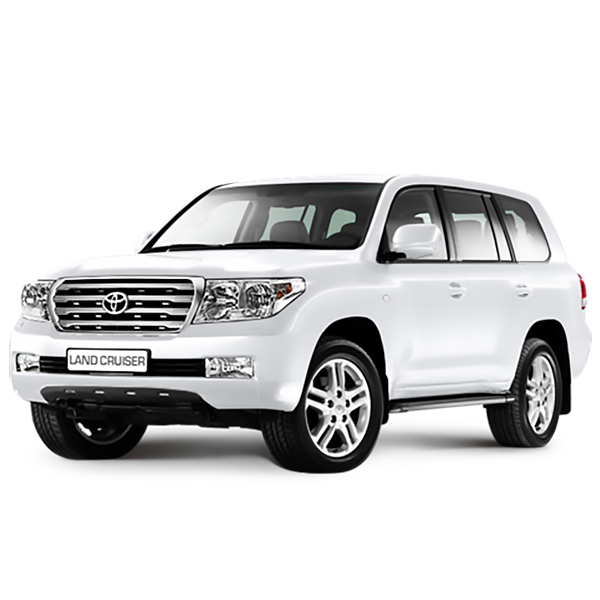 DRAGON МПУ на капот TOYOTA LAND CRUISER 200 (2007-) " в разрыв"