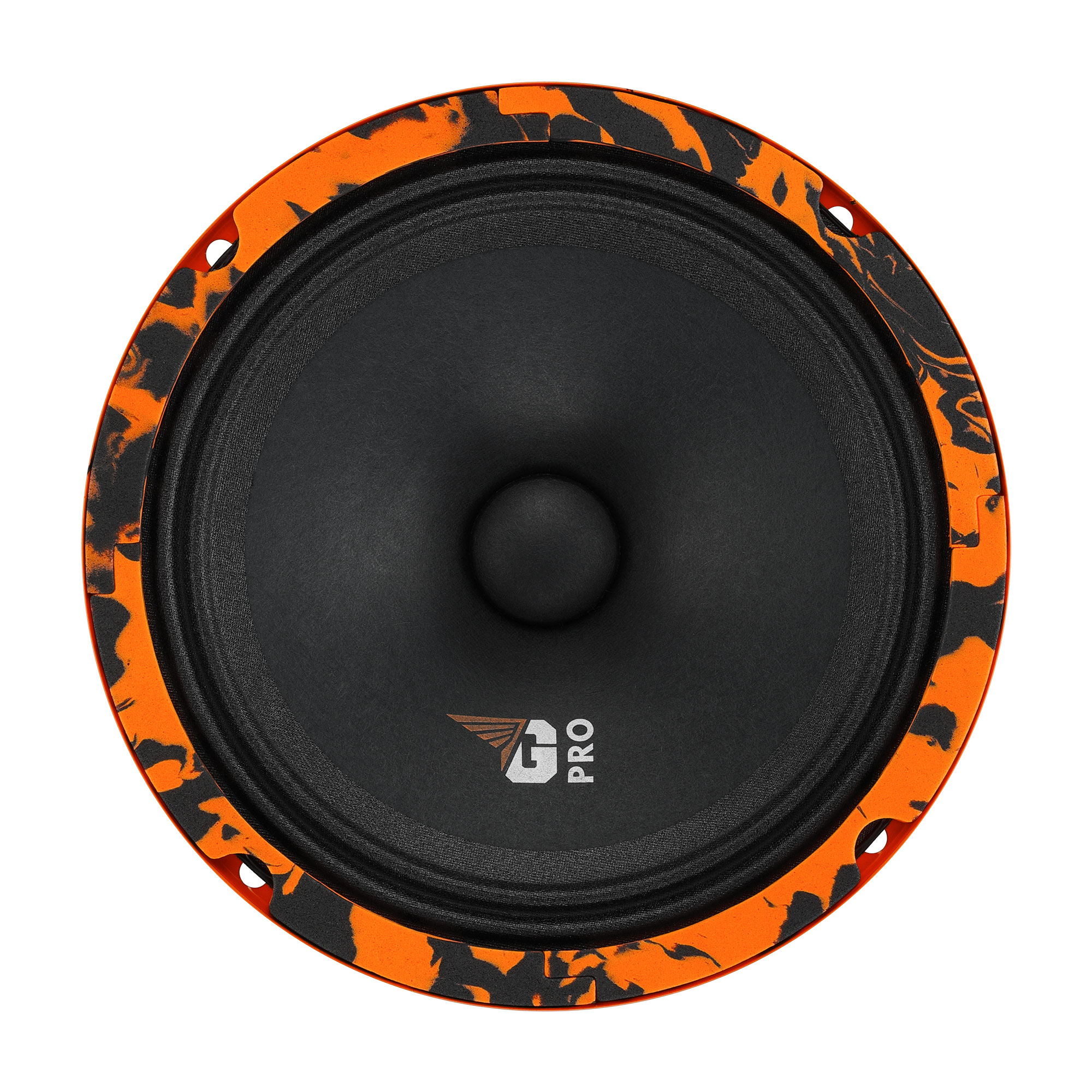 DL Audio Gryphon PRO 165