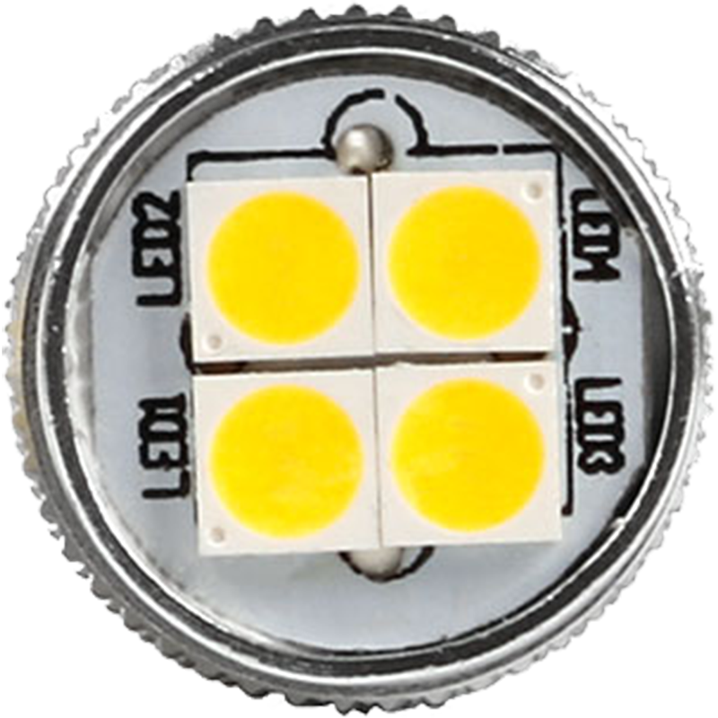 AMP SupertBright CANBUS