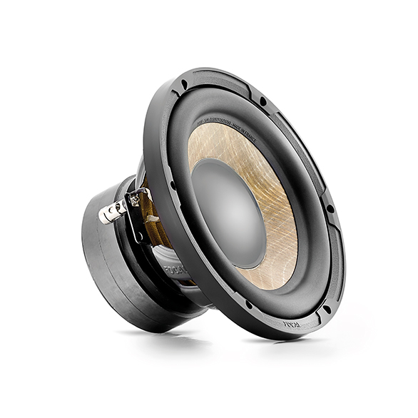 Сабвуферные динамики Focal P20FE 