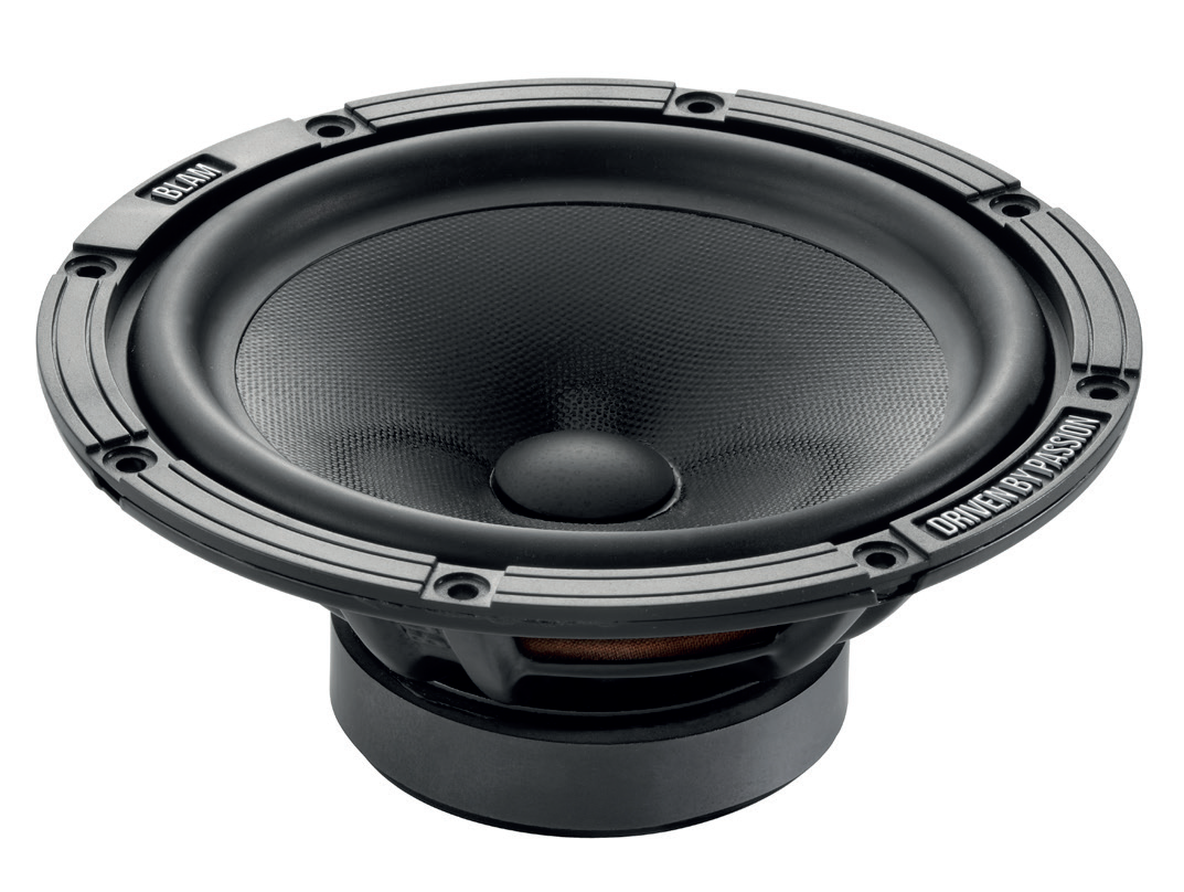 Акустика автомобильная BLAM W165ES 