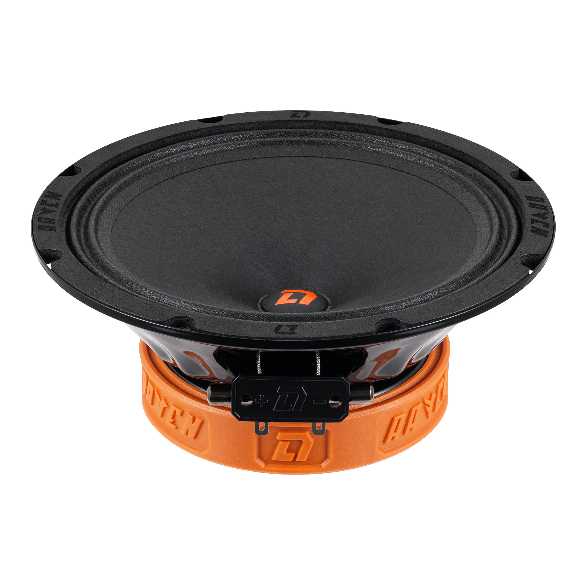 DL Audio Raven 200 V2