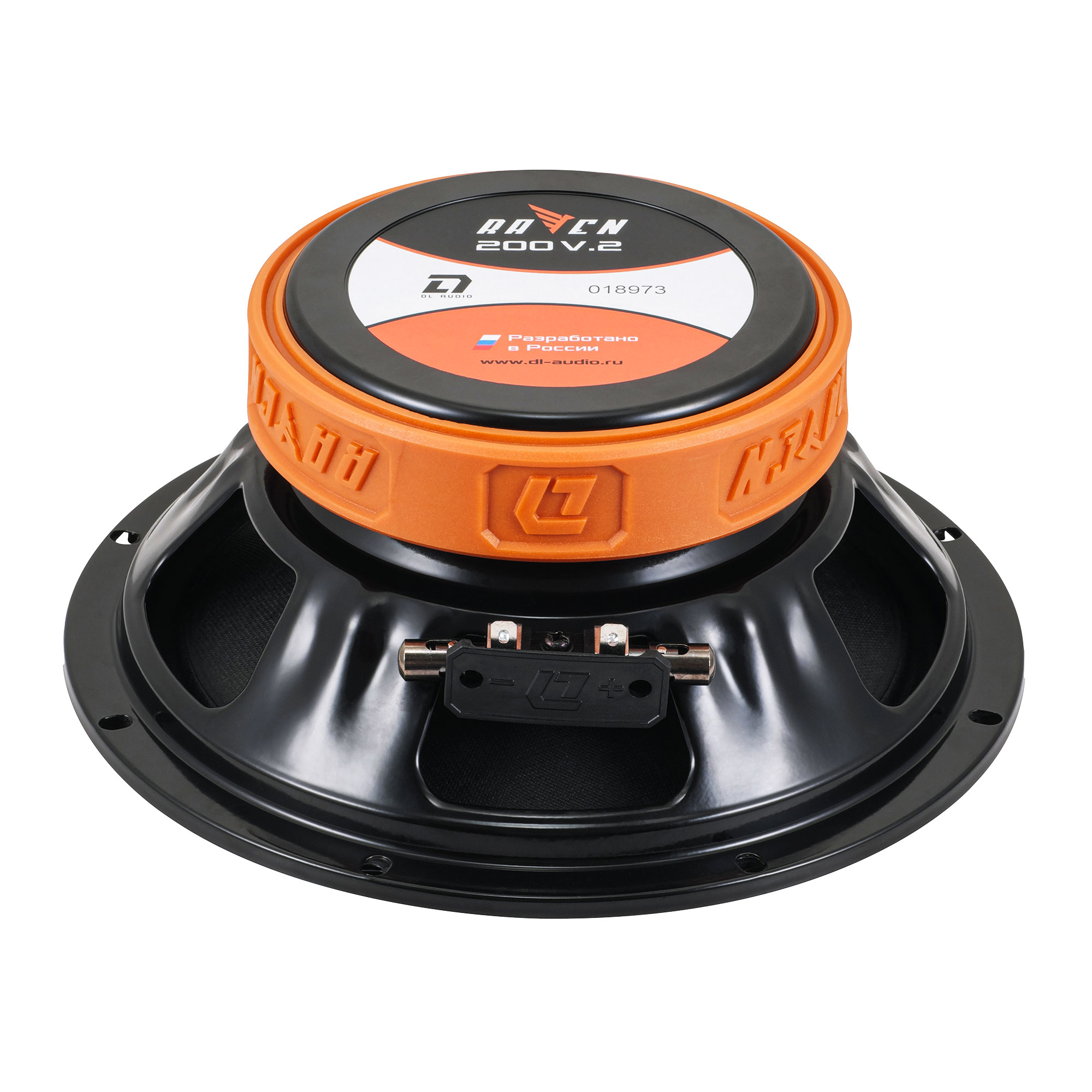 DL Audio Raven 200 V2