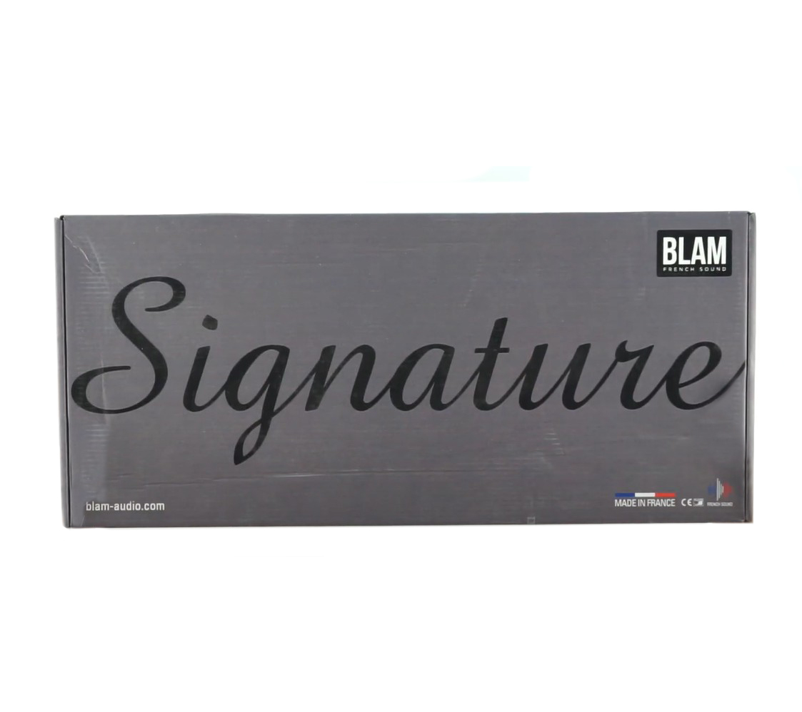 Акустика автомобильная BLAM WS6300 