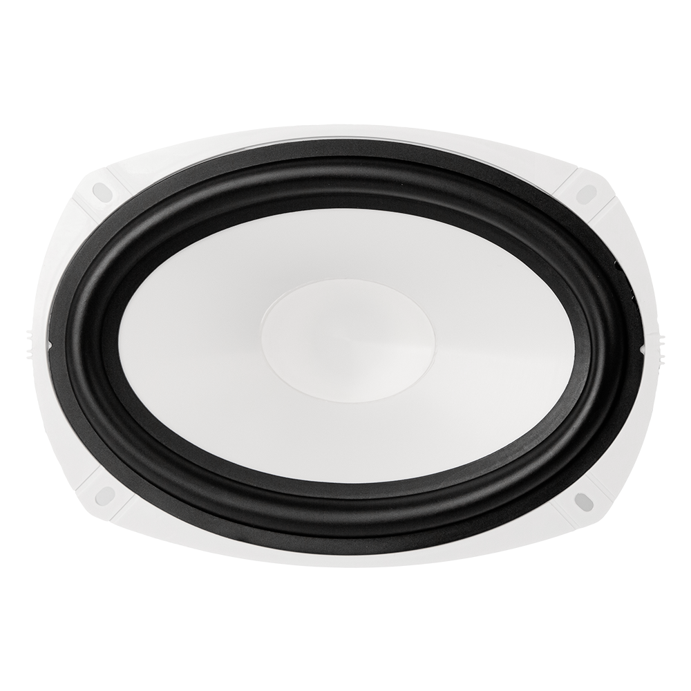 Морская акустика ACV M69W 