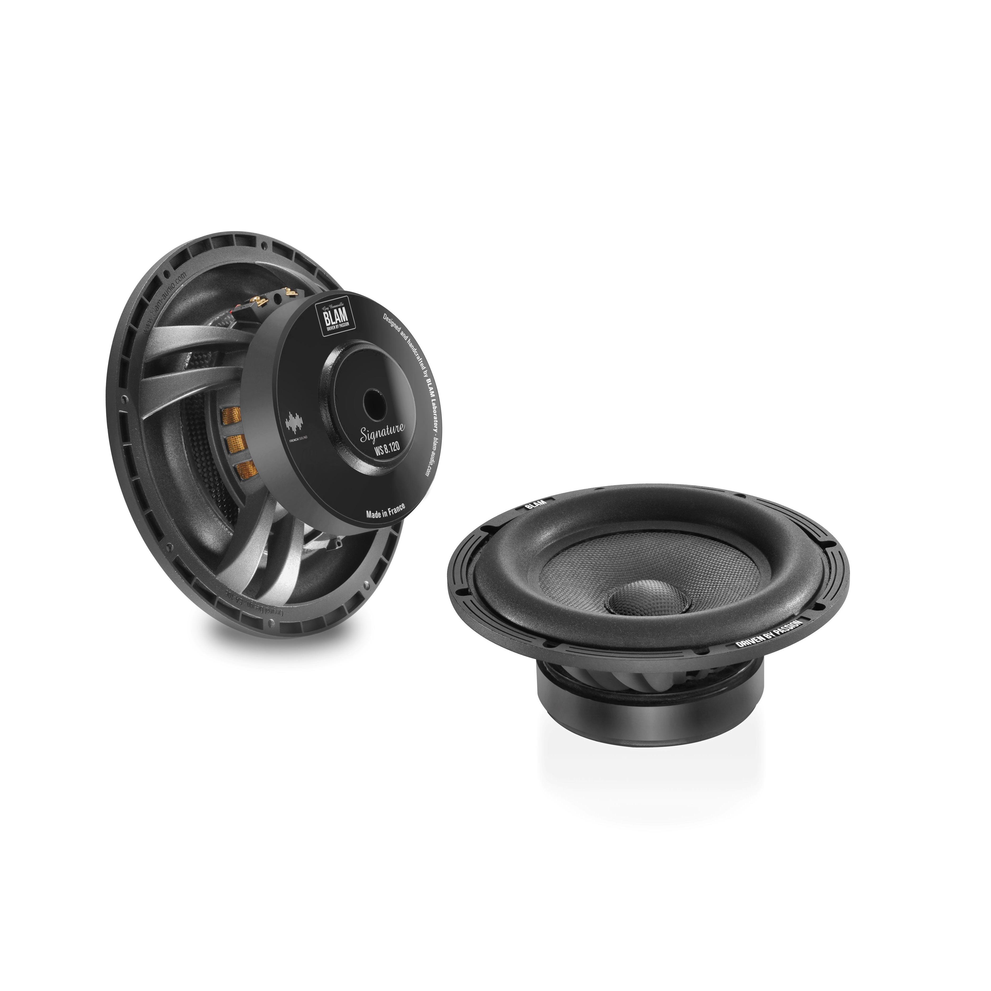 Сабвуферные динамики BLAM WS8120 