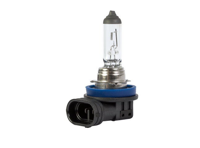 XENITE H11 STANDART+30%