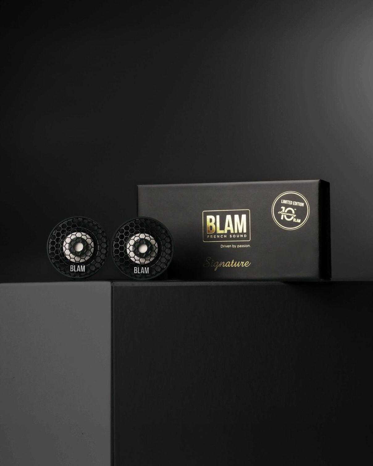 Акустика автомобильная BLAM T20MG 