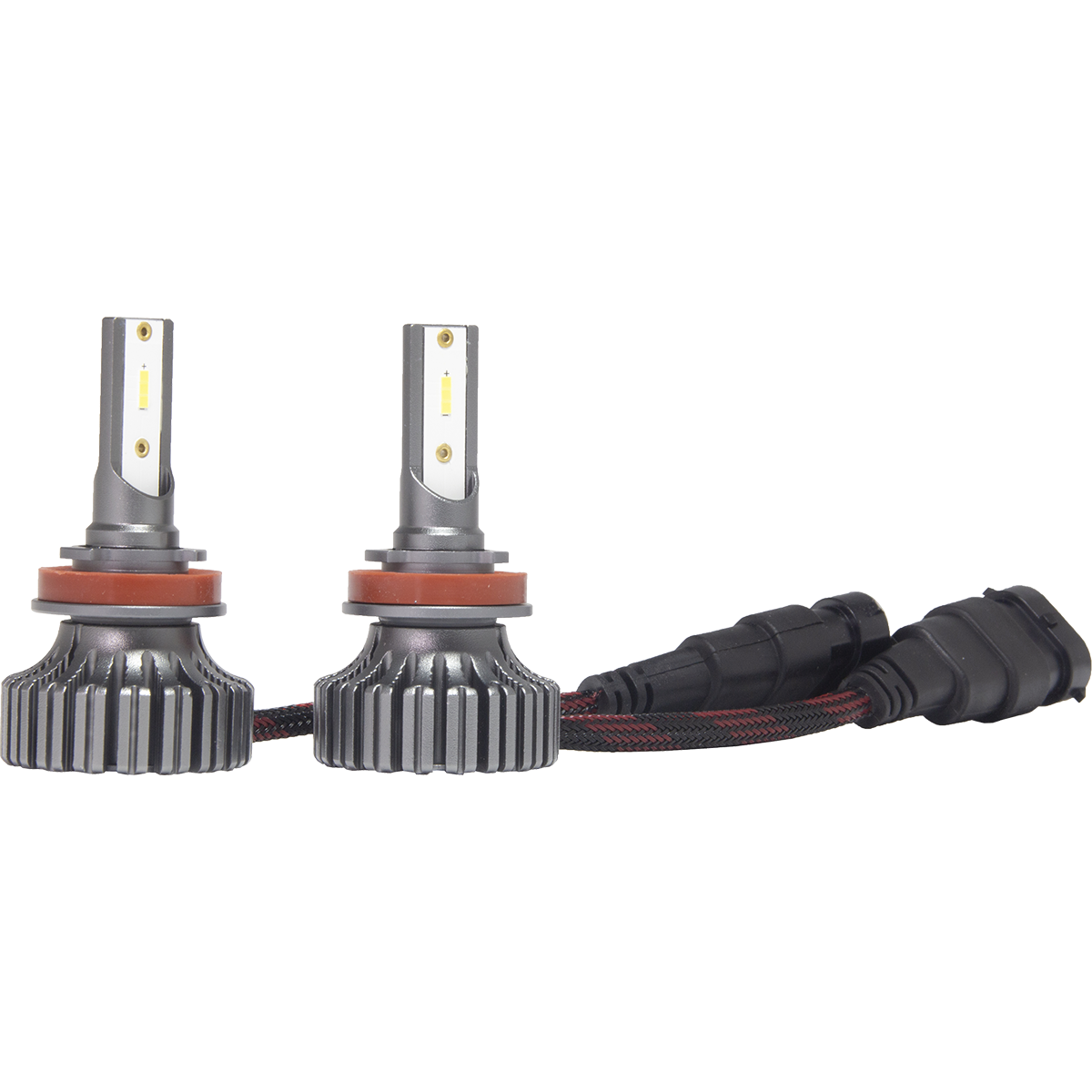 AMP CSP H02
