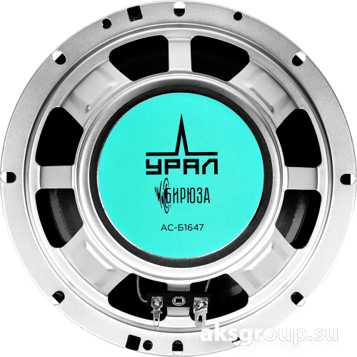 Ural УРАЛ БИРЮЗА АС-Б1647