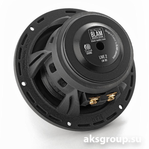 BLAM LM80