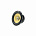 Focal ES165KX2 EVO
