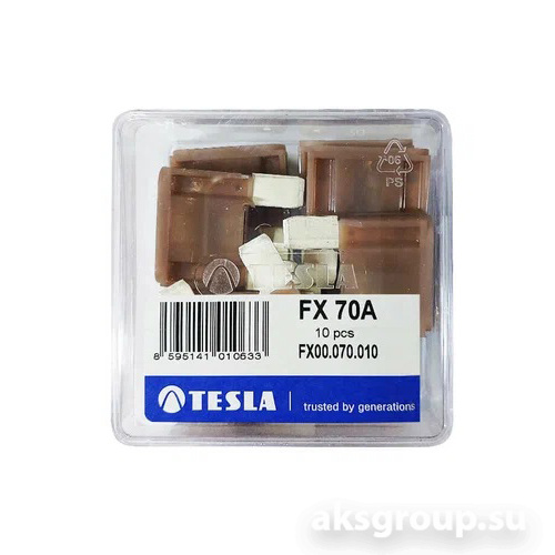 TESLA FX70A.10