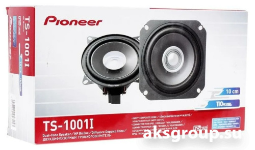 Pioneer TS-1001i