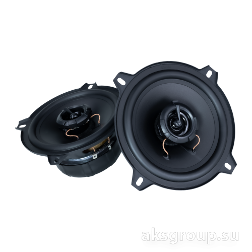 AMP MASS 502