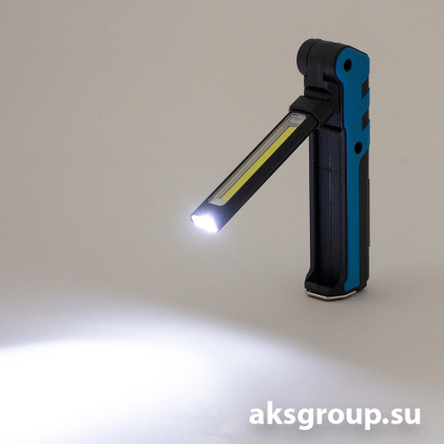 DolleX FIS-19