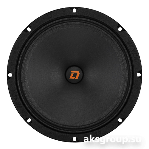 DL Audio Raven 200 V2