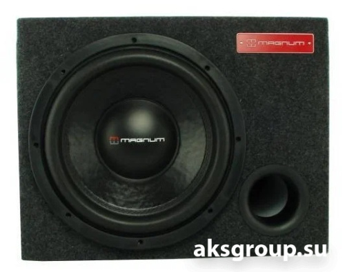 MAGNUM BASSBOX 124V