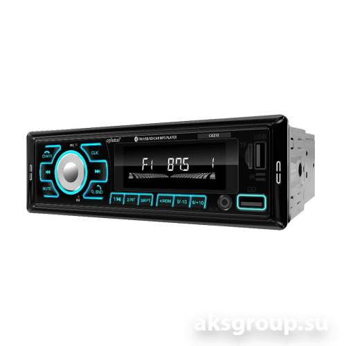 Eplutus CA310
