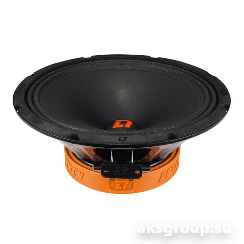 DL Audio Raven 250 V2