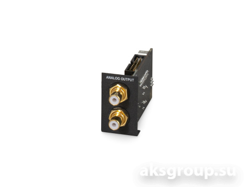 BRAX Analog out ESS