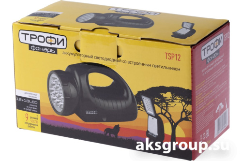 Фонарь TSP12 ТРОФИ