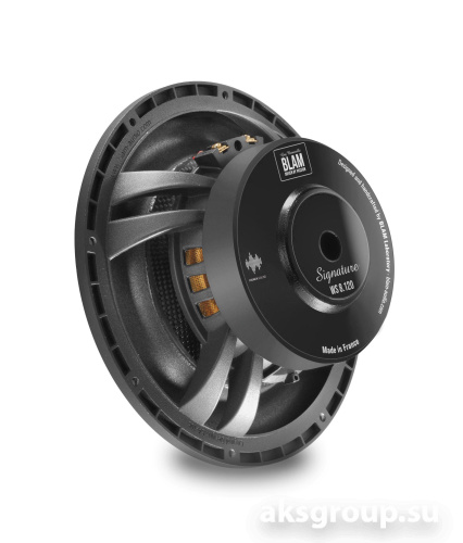 BLAM WS8120