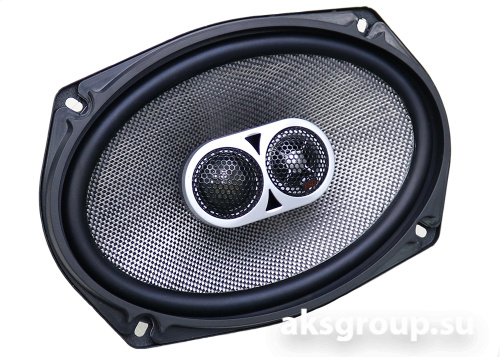 FSD audio MASTER X690