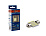XENITE T11 C5W S2411