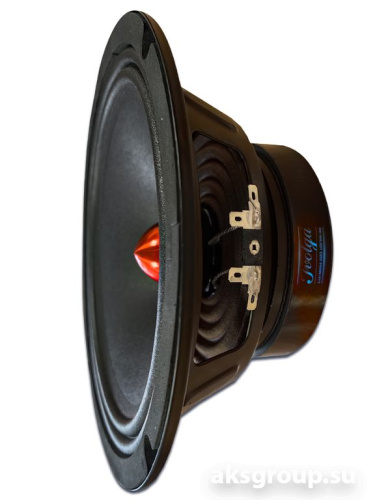 Ivolga UP-810