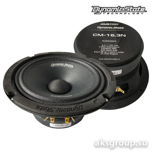 Dynamic State CUSTOM CM-16.3N