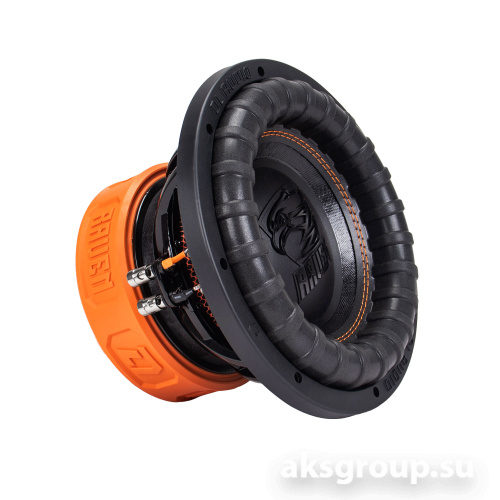 DL Audio Raven 10 V2