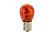 XENITE PY21W STANDART