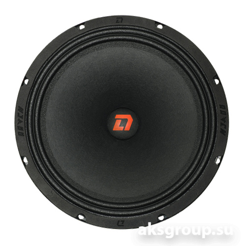 DL Audio Raven 250 V2
