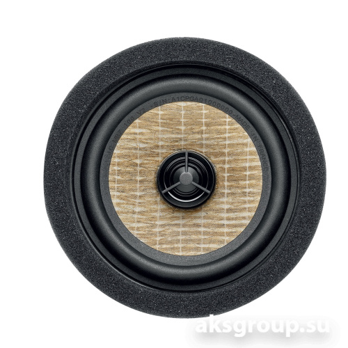 Focal IC MBZ 100 V2
