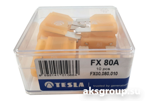 TESLA FX80A.10