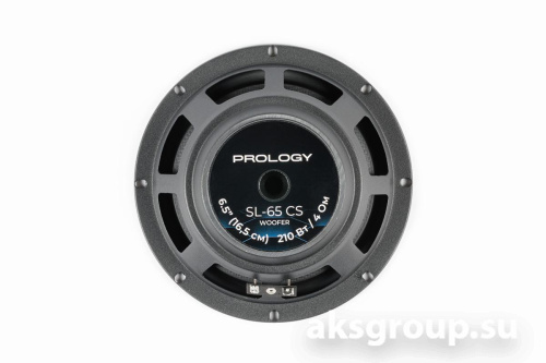 Prology SL-65 CS