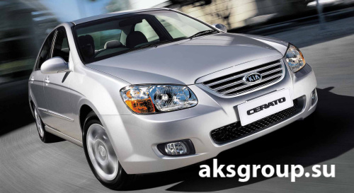 Garant Block Lux (973) Kia Cerato (2009-), Hyndai Elantra, i30