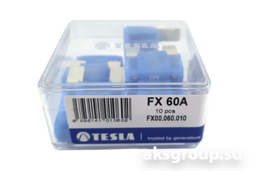 TESLA FX60A.10
